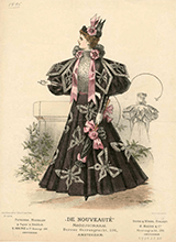 1895 - 1898 Ladies Fashion Plates