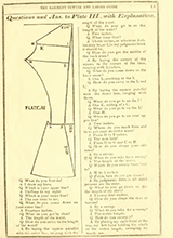 The Garment Cutter And Ladies Guide