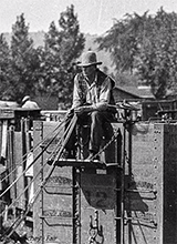 Frank Hinchey Fair And Fairgrounds